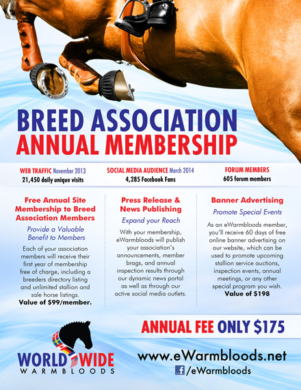 The 2014 AHHA Stallion Service Auction
