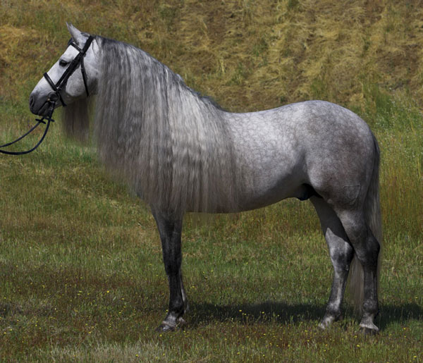 A properly lit horse