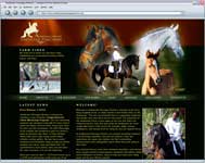 Andalusian Dressage Partners