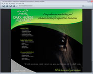 Dark Horse Media Biz