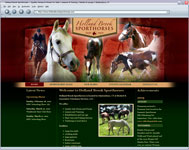 Holland Brook Sporthorses
