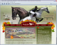 Maple Run Stables