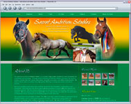Secret Ambition Stables